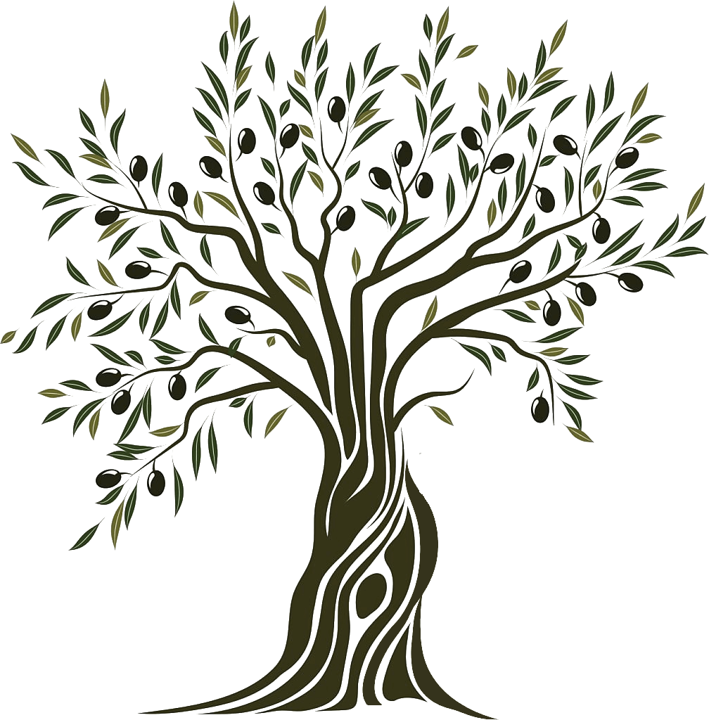 Olive Tree